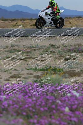 media/Jan-14-2023-SoCal Trackdays (Sat) [[497694156f]]/Turn 14 Exit Bloomig (145pm)/